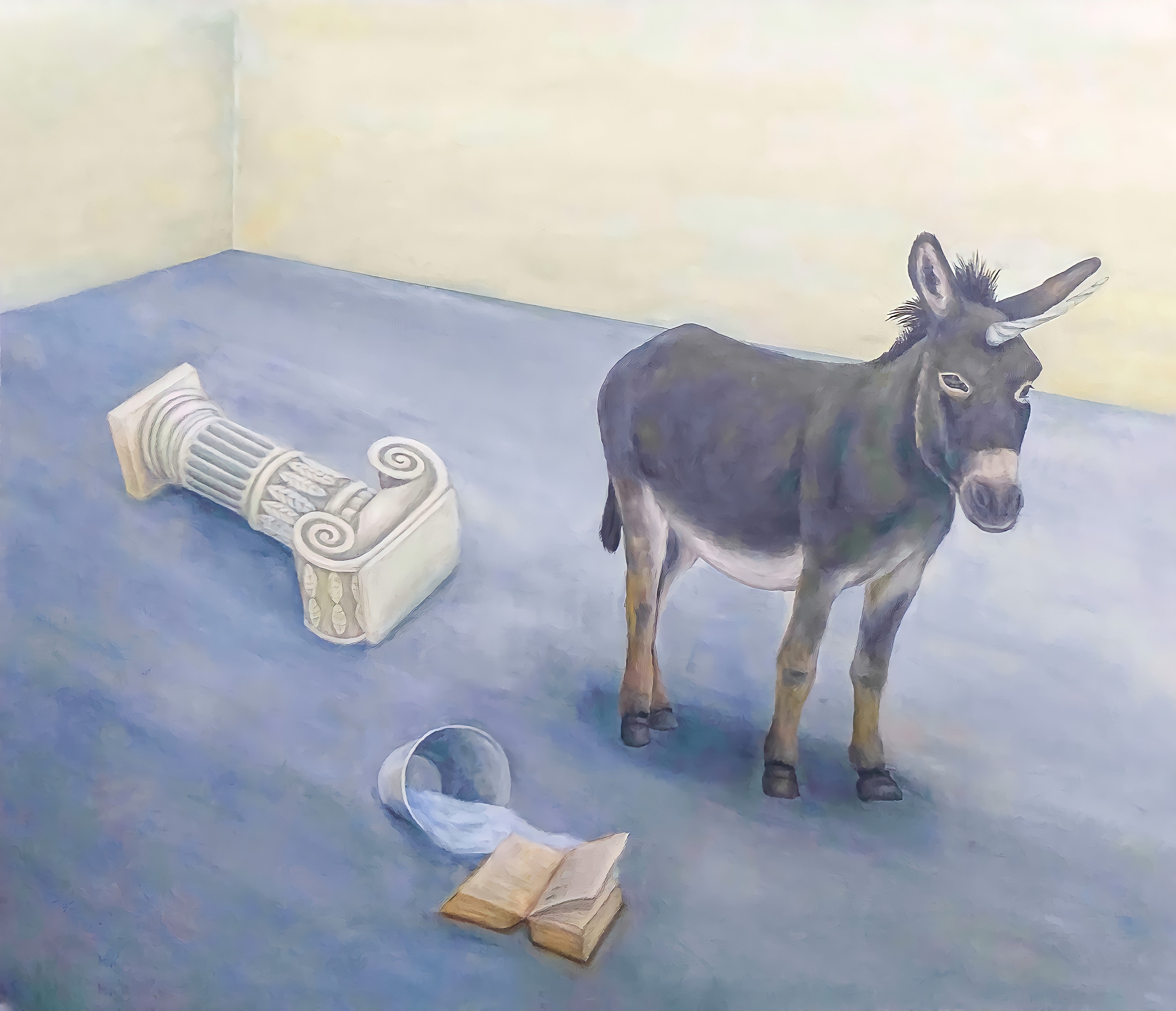 Literacy Donkey